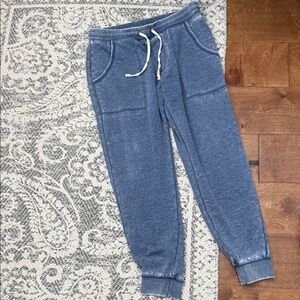 Alternative Apparel Men Blue Sweatpants